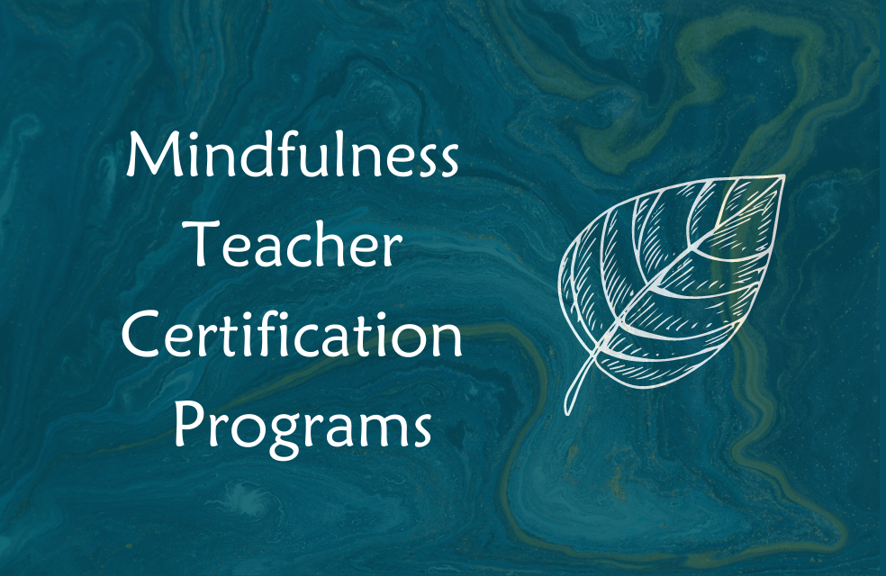 Our comprehensive teacher training programs can help support you on your path to teach others. Learn how to teach Mindful Yoga, The Mindful Edge for Teens, SMART. 