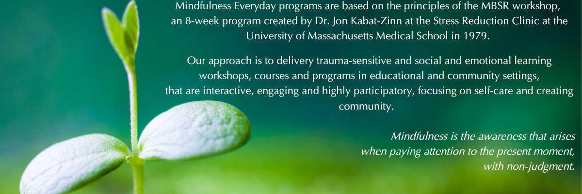 Mindfulness Everyday programs are based on the principles of the MBSR workshop, 
an 8-week program created by Dr. Jon Kabat-Zinn at the Stress Reduction Clinic at the University of Massachusetts Medical School in 1979. 

Our approach is to delivery trauma-sensitive and social and emotional learning workshops, courses and programs in educational and community settings,
that are interactive, engaging and highly participatory, focusing on self-care and creating community.  
