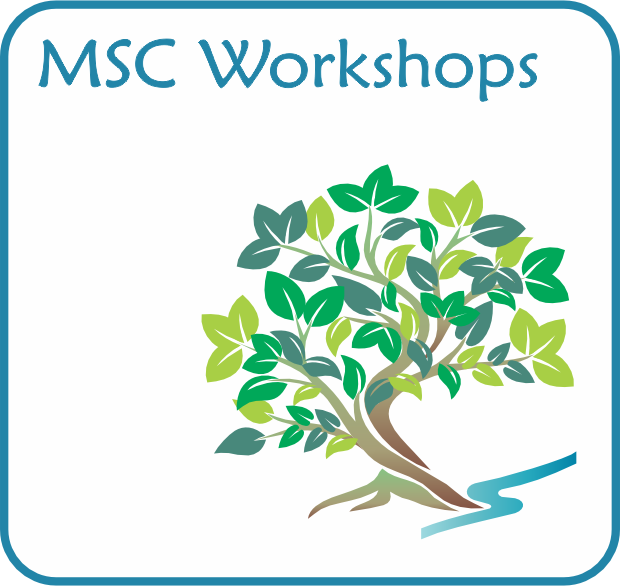 MSC Workshops