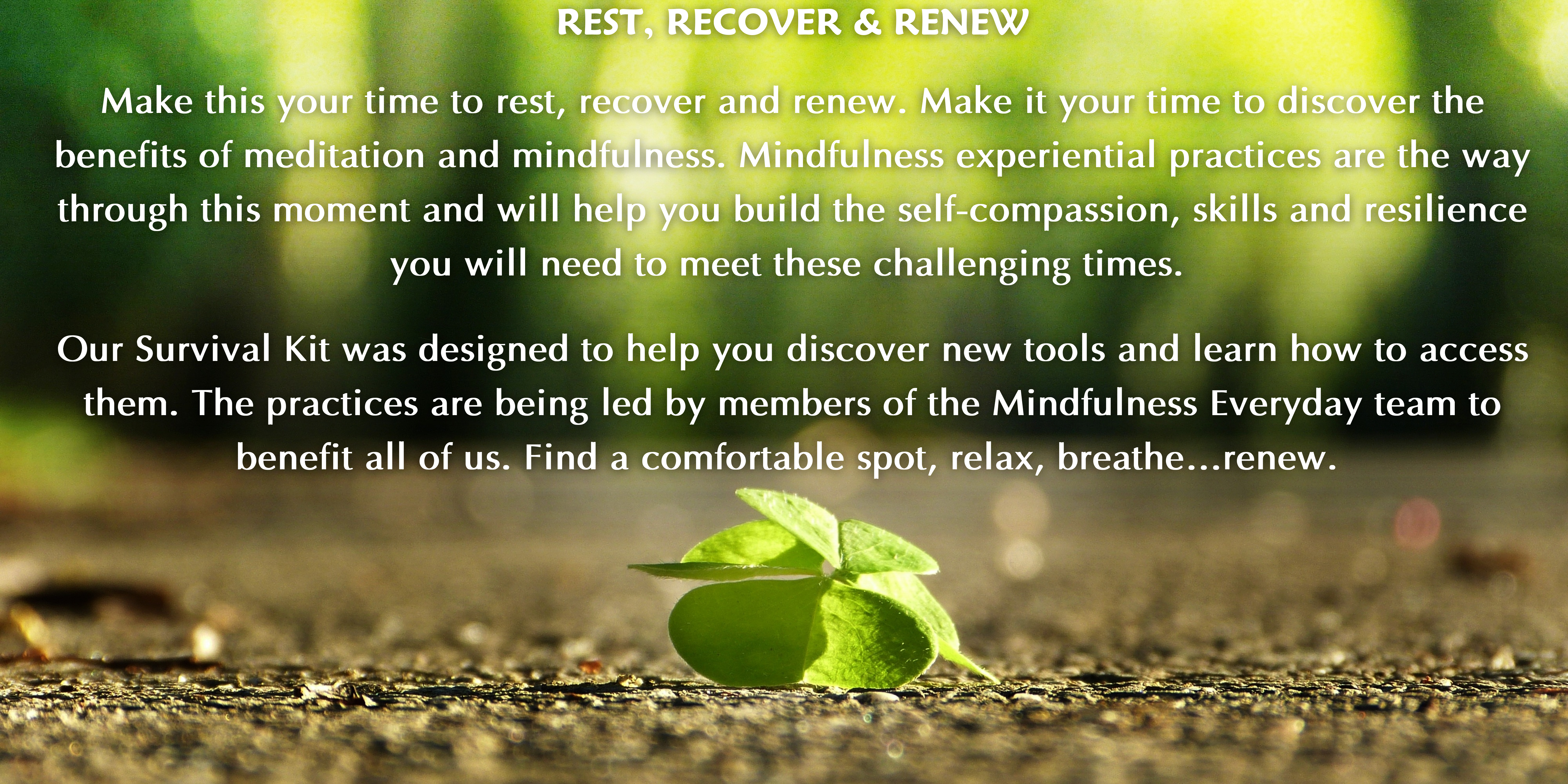 REST, RECOVER & RENEW


Make this your time to rest, recover and renew. Make it your time to discover the benefits of meditation and mindfulness. Mindfulness experiential practices are the way through this moment and will help you build the self-compassion, skills and resilience you will need to meet these challenging times. 
Our ME Survive to Thrive Kit was designed to help you discover new tools and learn how to access them. The practices are being led by members of the Mindfulness Everyday team to benefit all of us. Find a comfortable spot, relax, breathe…renew. 