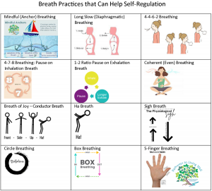 Benefits of Intentional Breath Practices Image 1